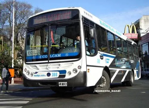 FB_IMG_1748599478676