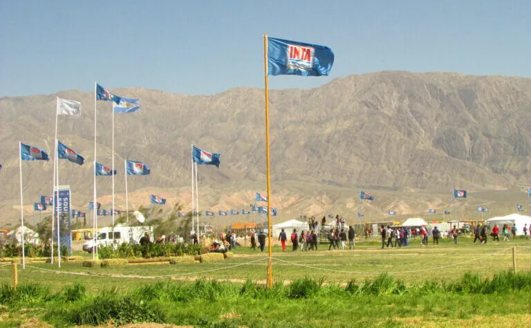 inta-campos-e1733487126463