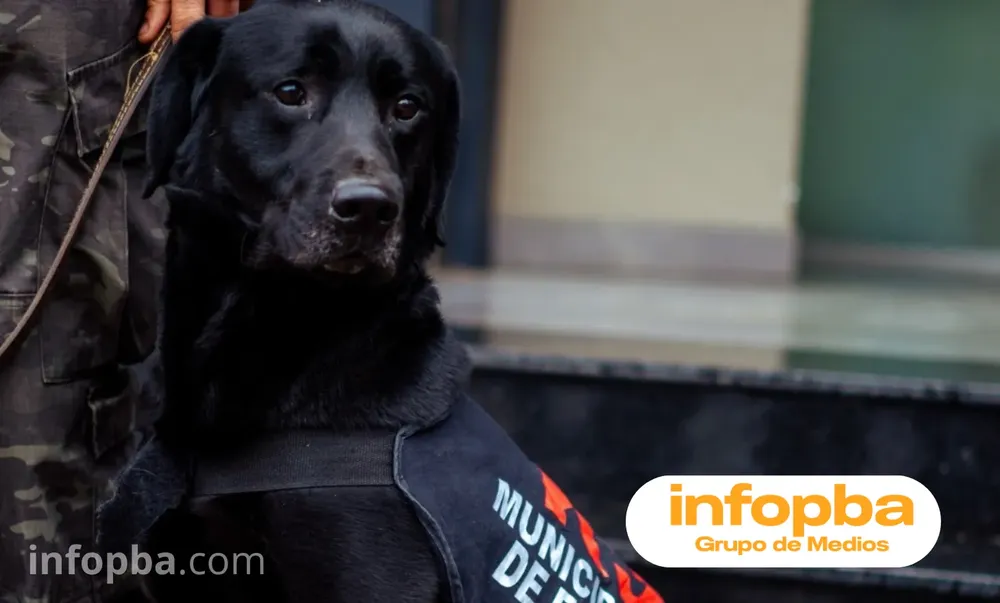 Copia de IMG GERMAN REPORTERO(204)