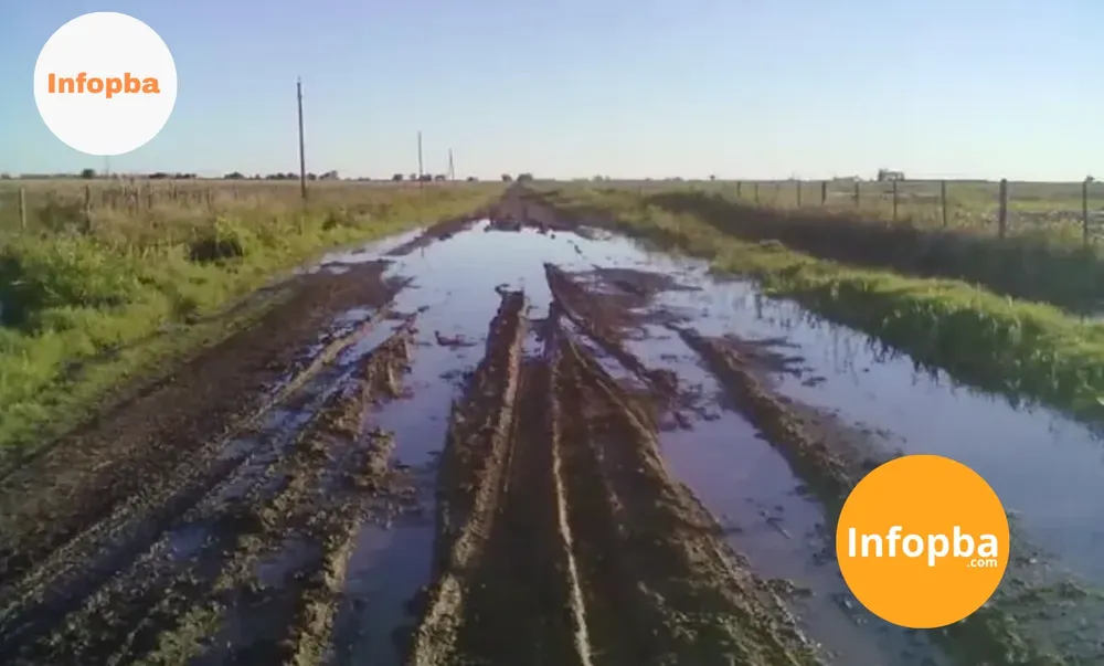 reportero img(1565)