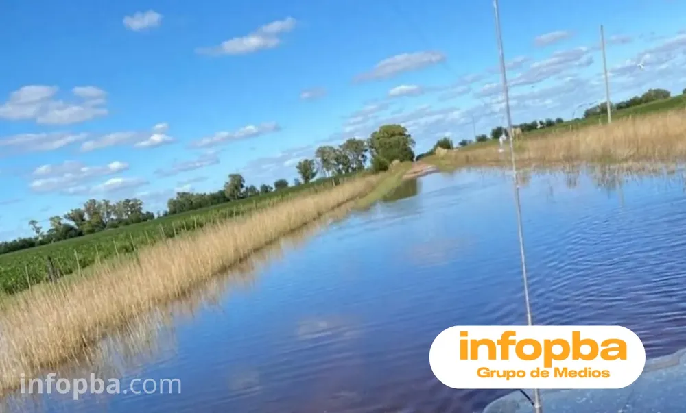 Copia de IMG GERMAN REPORTERO(182)