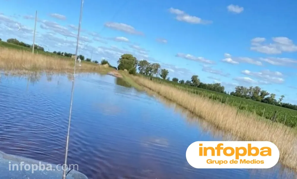 Copia de IMG GERMAN REPORTERO(110)