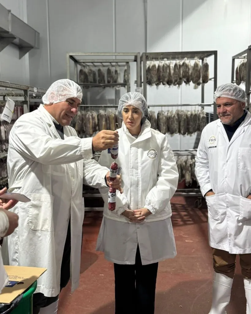 villaruela1-819x1024