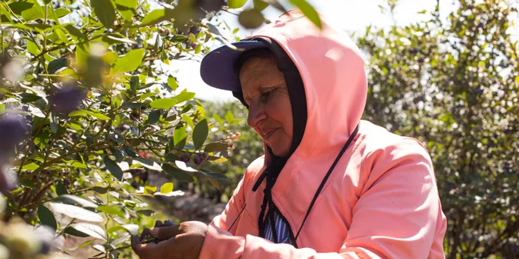 OP_SANTALUCIA191017IMG_5647-750x375