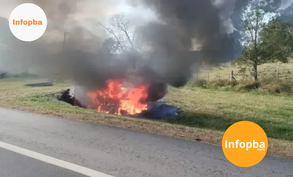 reportero img(393)