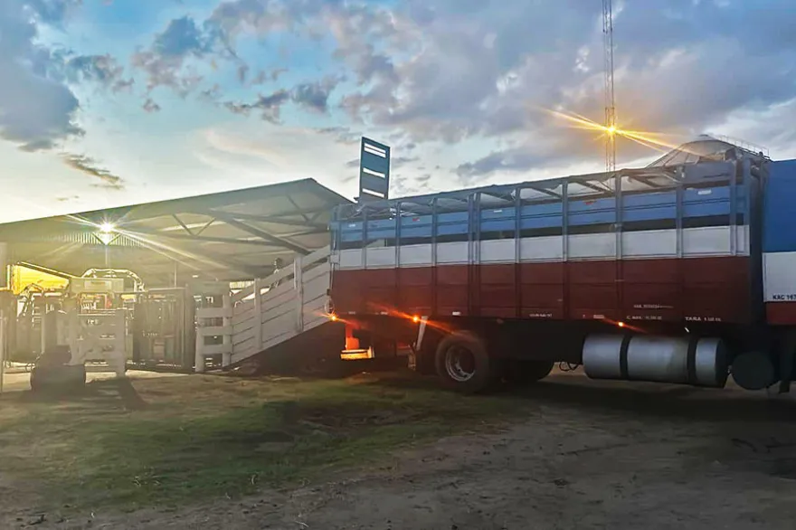 20250624135711_transporte_ganado_2